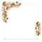 6.6FT Metal Square Backdrop Stand – Heavy Duty Balloon Arch Kit for Weddings, Parties, Photo Booth Decor (Indoor/Outdoor, Reusable, Detachable)